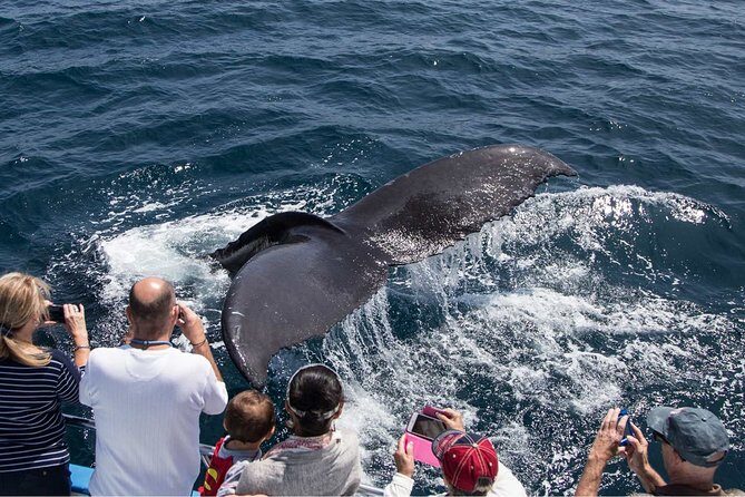 San Diego Explorer Pass: Save up to 50% - Includes San Diego Zoo - San Diego Zoo vs. Zoo Safari Park: Pick Your Animal Day