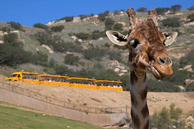 San Diego Explorer Pass: Save up to 50% - Includes San Diego Zoo - Natural History Museum: Fossils, Rare Books, and a Big Theater