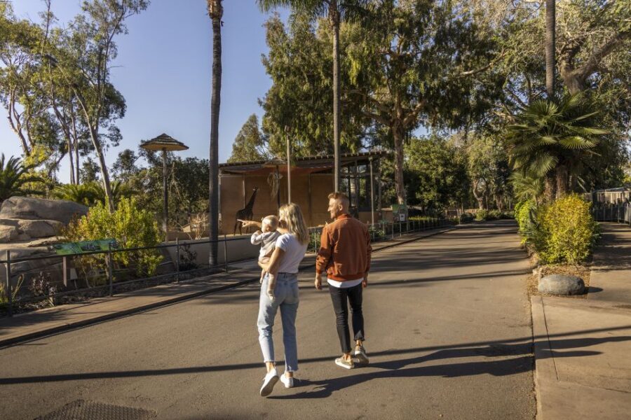 San Diego Explorer Pass: Save up to 50% on 45+ Attractions - Japanese Friendship Garden and maritime/auto museums