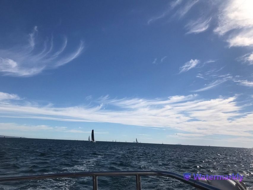 San Diego: Half-Day Marine Wildlife Tour with Lunch - Views and the San Diego Bay Perspective You Don’t Get on Land