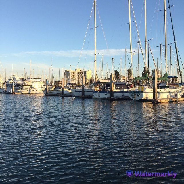 San Diego: Half-Day Marine Wildlife Tour with Lunch - Who This Tour Suits Best