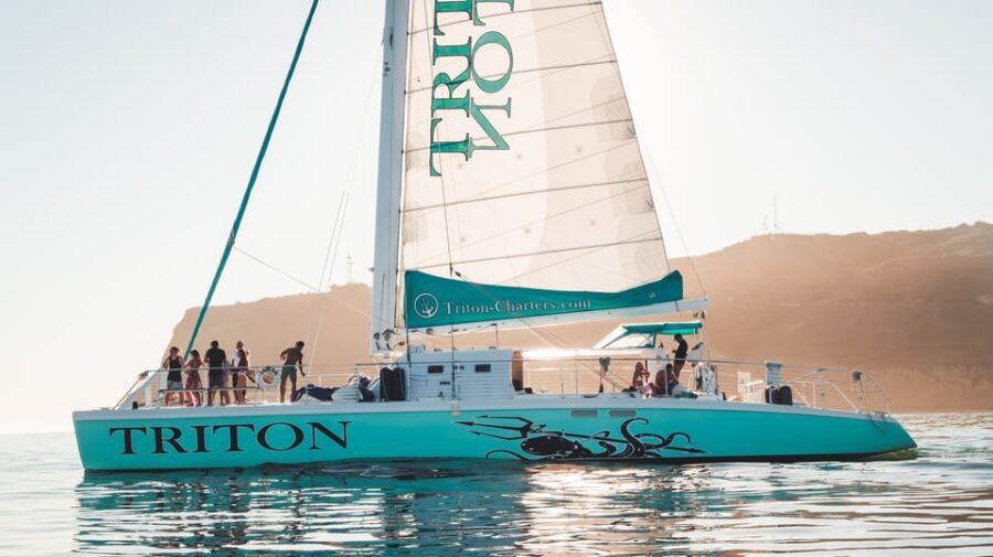 San Diego Harbor Cruise: 2.5 hour Catamaran Cruise - Who should book this catamaran cruise?