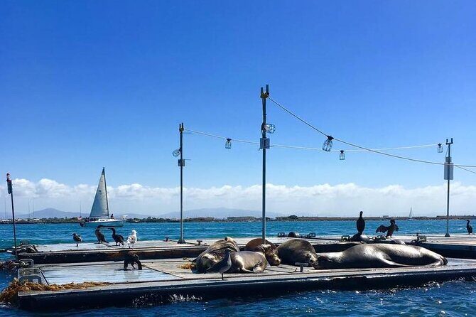San Diego Harbor Speed Boat Adventure - The Big Loop: What the Route Includes (and Why Each Stop Matters)