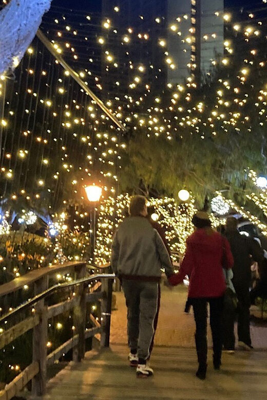 San Diego: Holiday Lights and Sights Trolley Tour - Bankers Hill and Garrison St: When the Holiday Looks More Residential