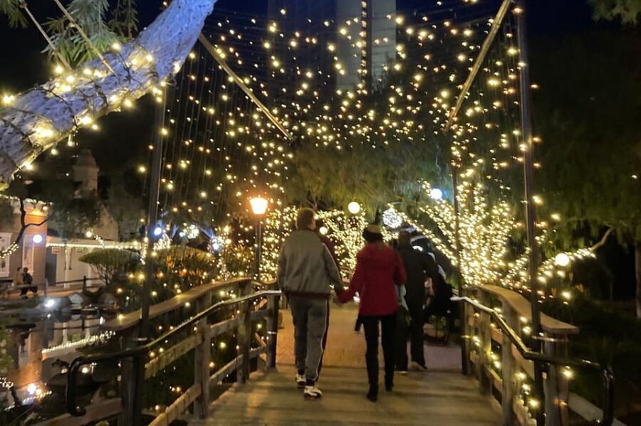 San Diego: Holiday Lights and Sights Trolley Tour - The Elf Conductor and Sing-Along: More Than Background Music
