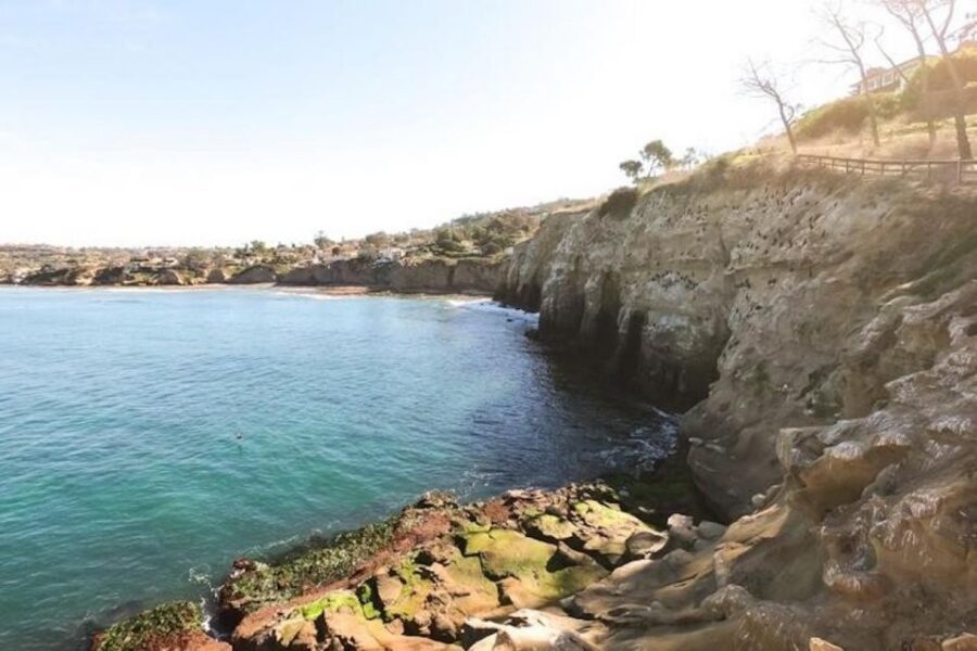 San Diego: La Jolla Cove Guided Snorkeling Tour - How Rich runs the tour so you feel safe and focused