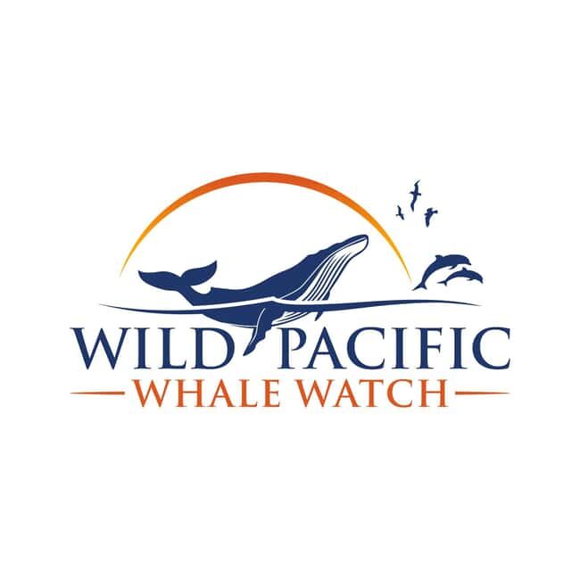 San Diego: Luxury Year-round Whale Watching & Dolphin Tour - Key things to know before you go