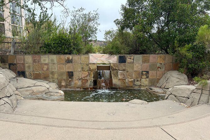San Diego Mountain Hike and Meditation Tour - What to Wear and Bring So You Don’t Think About It Later