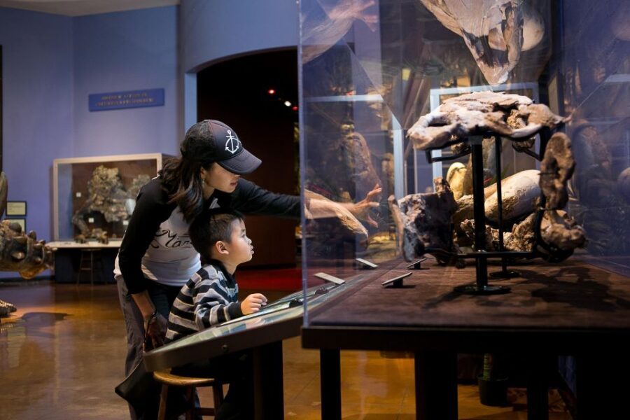 San Diego Natural History Museum Nighttime Entry Ticket - Flying Squirrel Café and the bars on every level