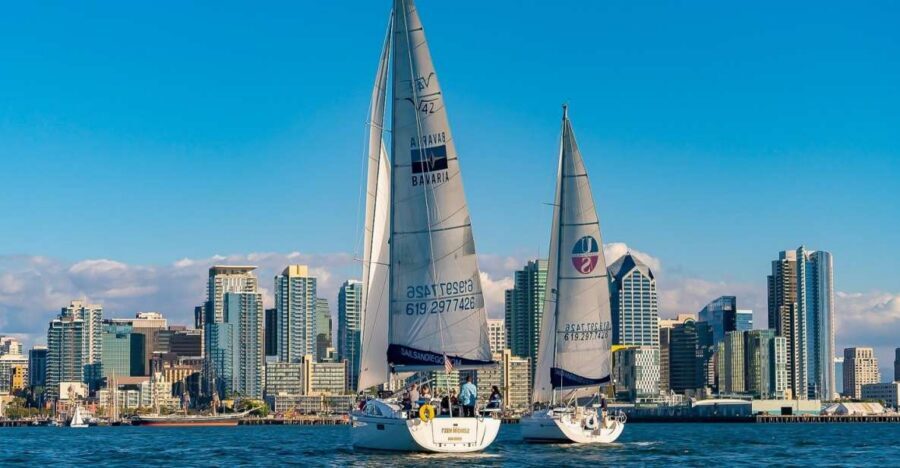 San Diego: Relax on a Morning, Day or Sunset Luxury Sail - Wildlife Moments: Sea Lions, Dolphins, and Whale Possibilities