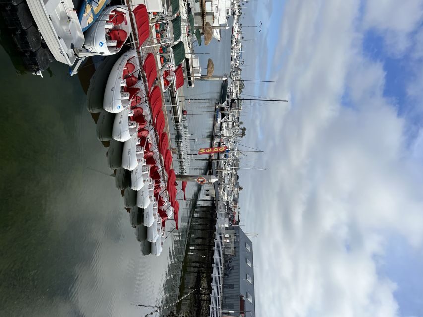 San Diego: San Diego Bay Dog-Friendly Eco Pedal Boat Rentals - Meeting Eco Boat Rentals at H&M Landing (and finding your way fast)