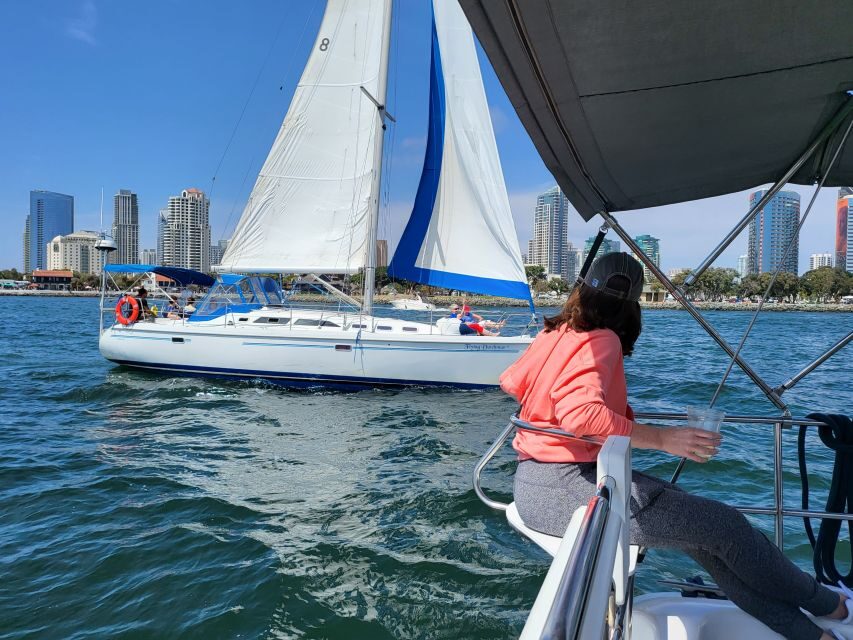 San Diego: San Diego Bay Sunset & Daytime Sailing Experience - Sea lions and the occasional dolphin: how to boost your odds (without stressing)