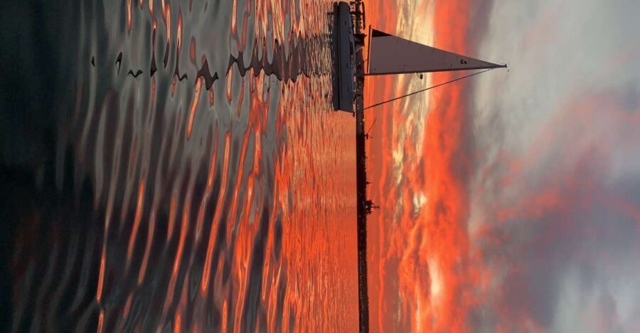 San Diego: San Diego Bay Sunset & Daytime Sailing Experience - Downtown San Diego skyline + USS Midway: why this stretch hits the sweet spot