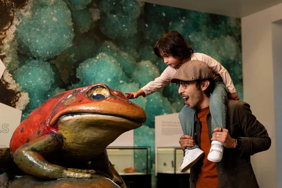San Diego: San Diego Natural History Museum Ticket - Fossil Mysteries: dinosaurs, megalodons, and mastodons in one story