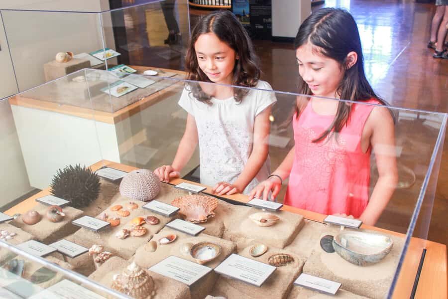 San Diego: San Diego Natural History Museum Ticket - Expedition Baja and Coast to Cactus: why this museum feels local