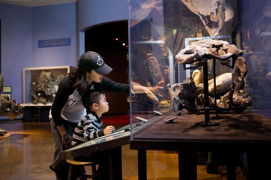 San Diego: San Diego Natural History Museum Ticket - Citizen science and community learning: Extraordinary Ideas from Ordinary People