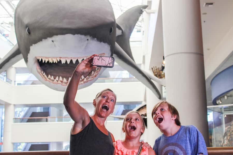 San Diego: San Diego Natural History Museum Ticket - Four floors in one day: how to pace yourself