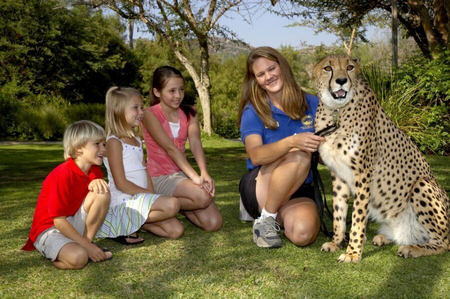 San Diego: San Diego Zoo Safari Park 1-Day Ticket - Key things to know before you go