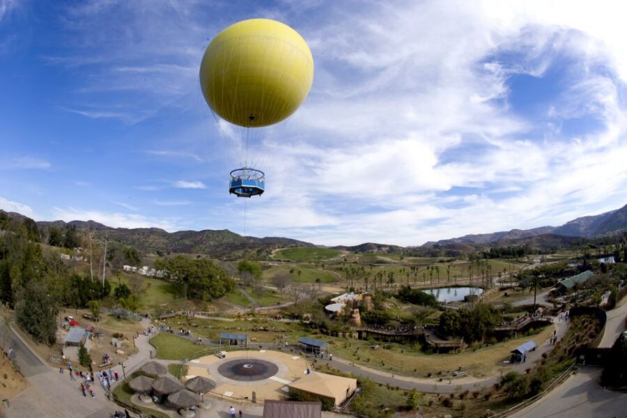 San Diego: San Diego Zoo Safari Park 1-Day Ticket - San Diego Safari Park: why this day feels different