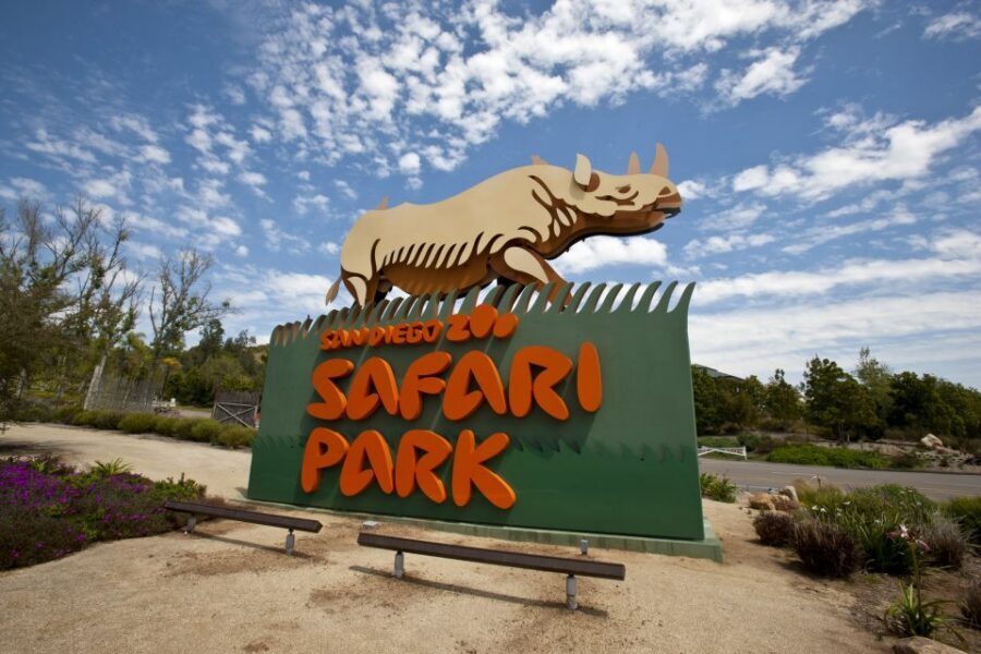 San Diego: San Diego Zoo Safari Park 1-Day Ticket - Elephant Overlook and elephant enrichment: a better way to see the herd