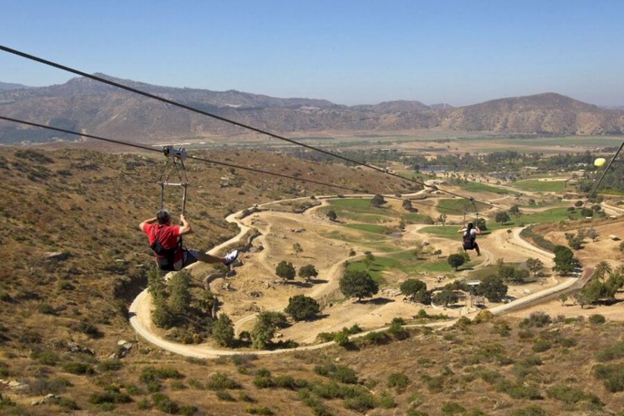San Diego: San Diego Zoo Safari Park 1-Day Ticket - Wings of the World Aviary: 140+ birds that feel like a show
