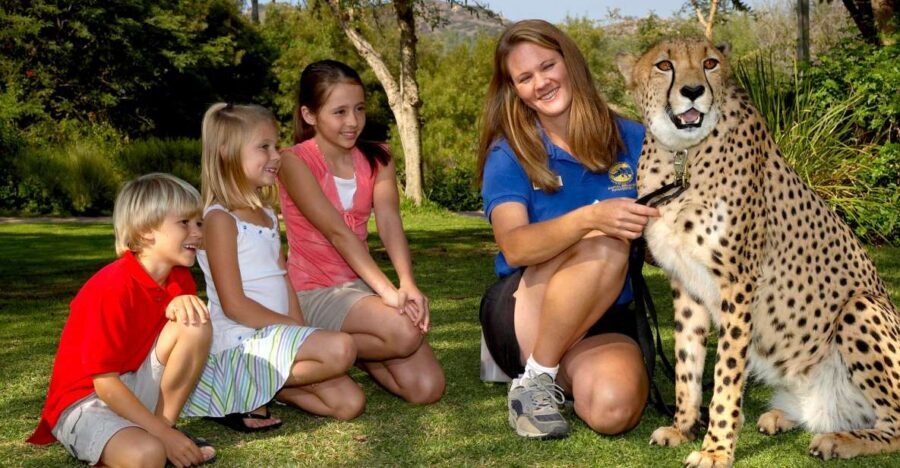 San Diego: San Diego Zoo Safari Park 1-Day Ticket - Condor Ridge: the conservation angle you’ll actually remember