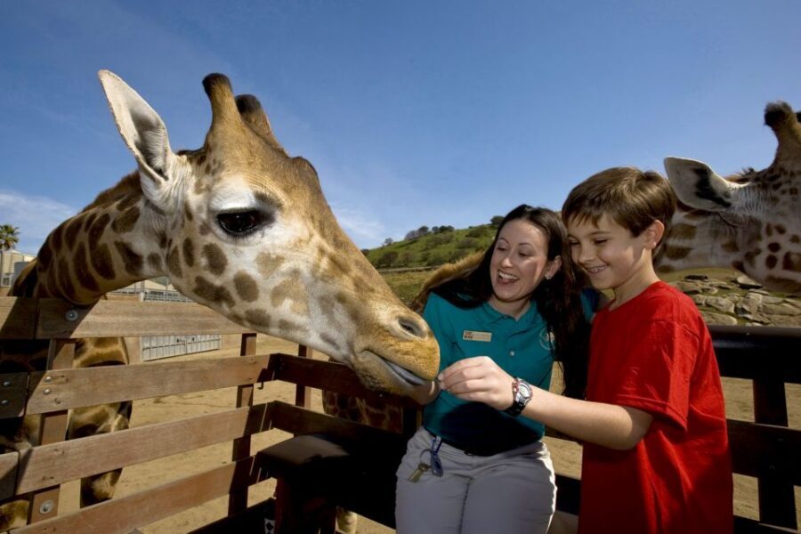 San Diego: San Diego Zoo Safari Park 1-Day Ticket - All the included animal shows and encounters you should plan around
