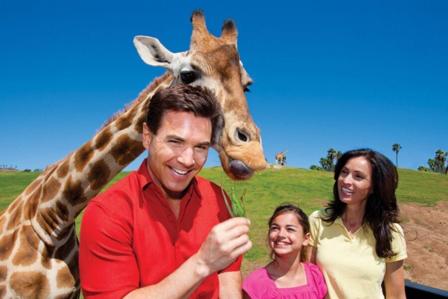 San Diego: San Diego Zoo Safari Park 1-Day Ticket - Lion Camp: nose-to-nose viewing without the zoo vibe