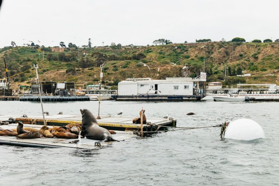 San Diego: SEAL City Tour by Amphibious Bus - Who should book this SEAL City Tour?