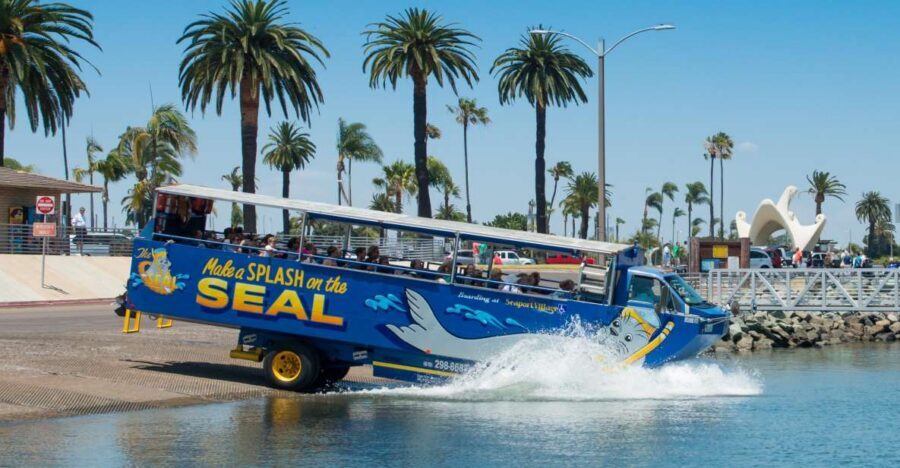 San Diego: SEAL City Tour by Amphibious Bus - The Big Bay wildlife stop: seals, sea lions, and harbor life
