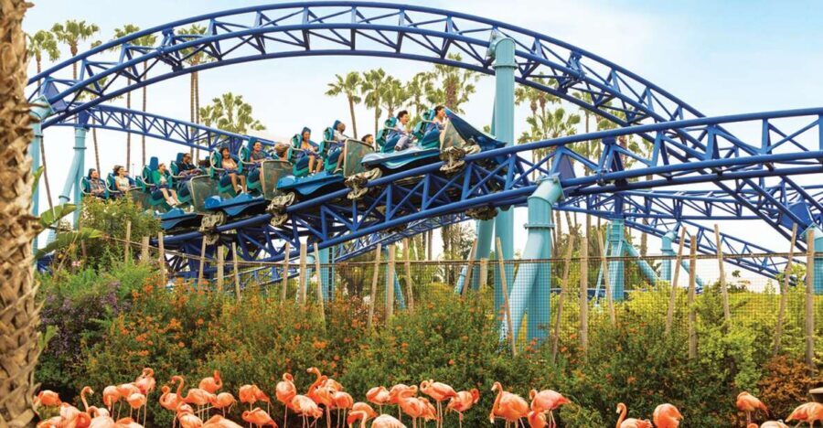 San Diego: SeaWorld Skip-the-Line Park Admission Ticket - Key things to know before you plan your SeaWorld day