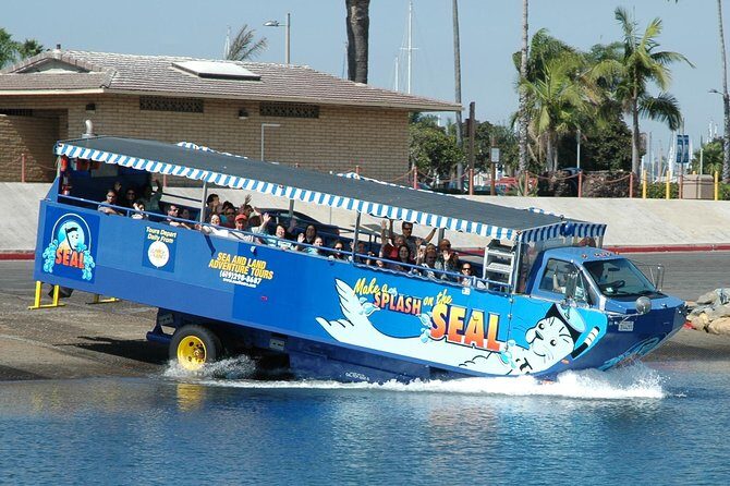 San Diego Shore Excursion: San Diego Seal Tour - Key Things That Make This Tour Work