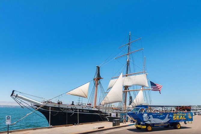San Diego Shore Excursion: San Diego Seal Tour - Comfort, Clothing, and Staying Warm in Windy San Diego