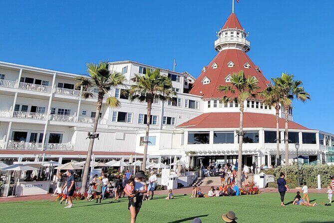 San Diego: The Most Extensive City & Beach Tour - La Jolla Cove: seals in their habitat and quick ocean exploration