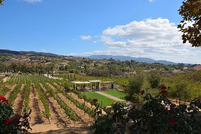 San Diego to Temecula: Wine Country Tour & Historic Old Town - Who this tour is best for