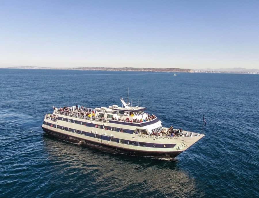 San Diego: Whale and Dolphin Watching Cruise - Key things that make this cruise worth your time