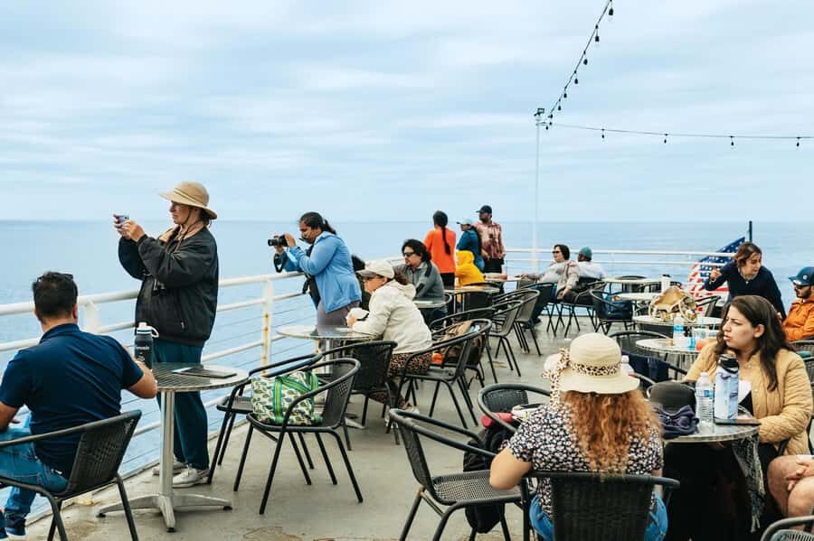 San Diego: Whale and Dolphin Watching Cruise - Price and value: is $77 fair for 3.5–4 hours at sea?