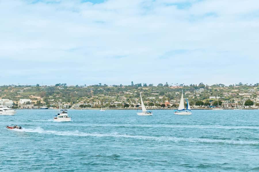 San Diego: Whale and Dolphin Watching Cruise - Cruise length and timing: 3.5 vs 4 hours in real terms