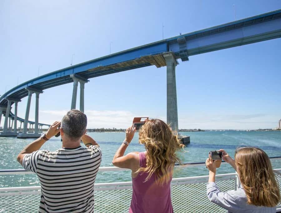 San Diego: Whale and Dolphin Watching Cruise - The sighting guarantee: what it means when whales don’t show