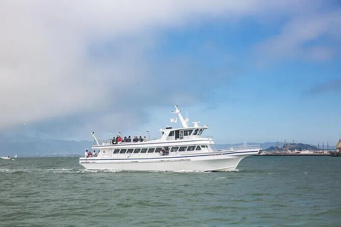 San Diego Whale/Dolphin Watching Cruise Aboard Luxury Vessel - The 3.5-hour San Diego Bay to open-water loop (and why it’s worth it)