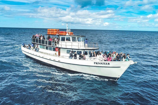 San Diego Whale Watching & Dolphin Cruise - Spotting whales and dolphins: what the crew actually does
