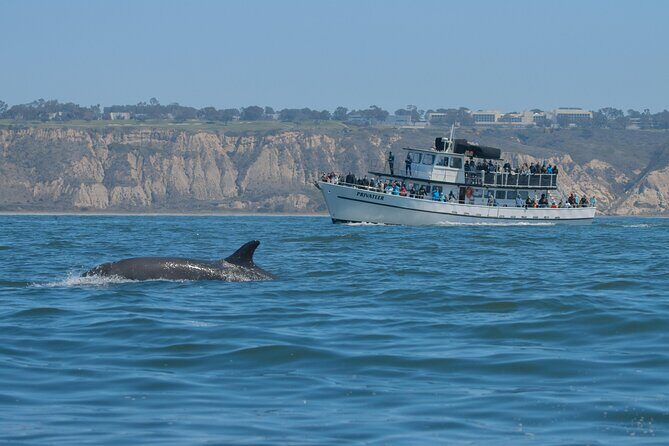 San Diego Whale Watching & Dolphin Cruise - Who should book this cruise?