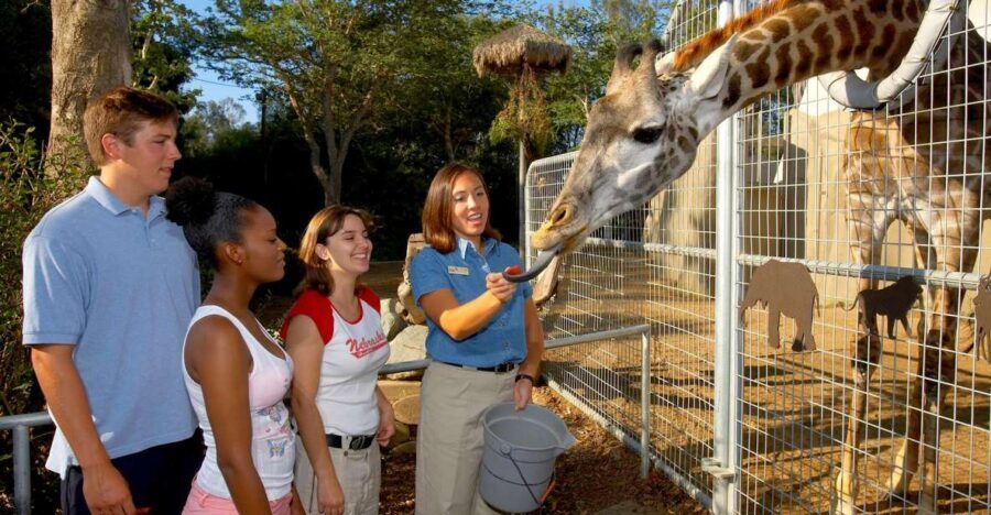 San Diego Zoo: 1-Day Admission Ticket - What your 1-day ticket includes (and what that means for your time)