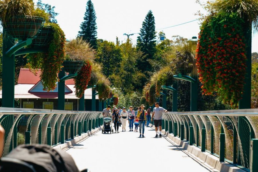 San Diego Zoo: 1-Day Admission Ticket - Conrad Prebys Polar Bear Plunge: close, hands-on, and memorable