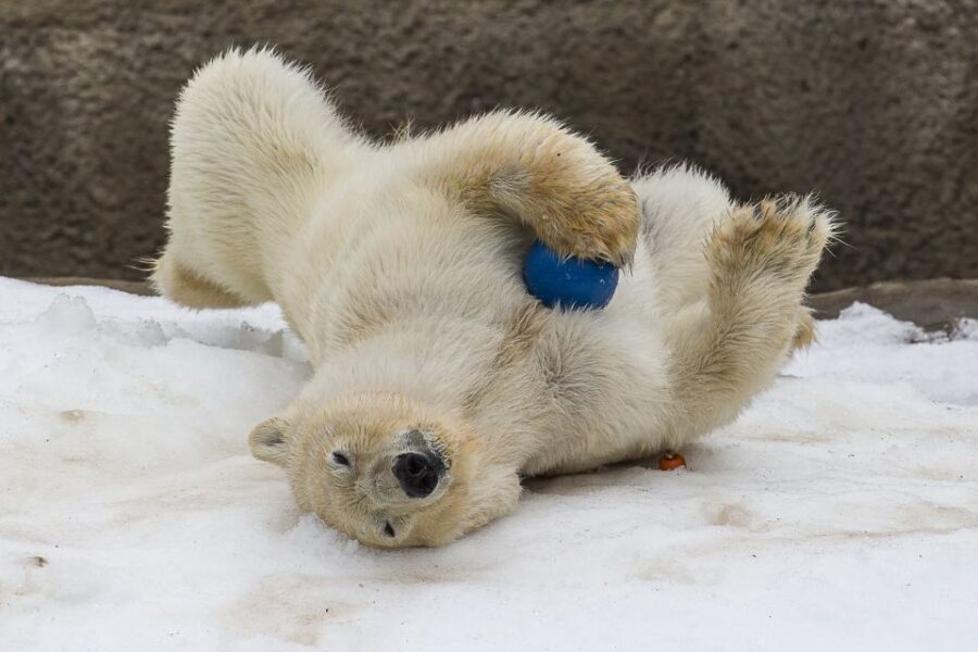 San Diego Zoo: 1-Day Admission Ticket - Children’s Zoo: a good break from big-habitat expectations