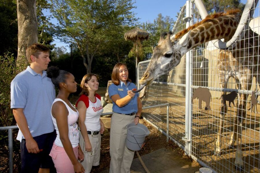 San Diego Zoo: 1-Day Admission Ticket - Getting in fast: skipping the admission ticket line
