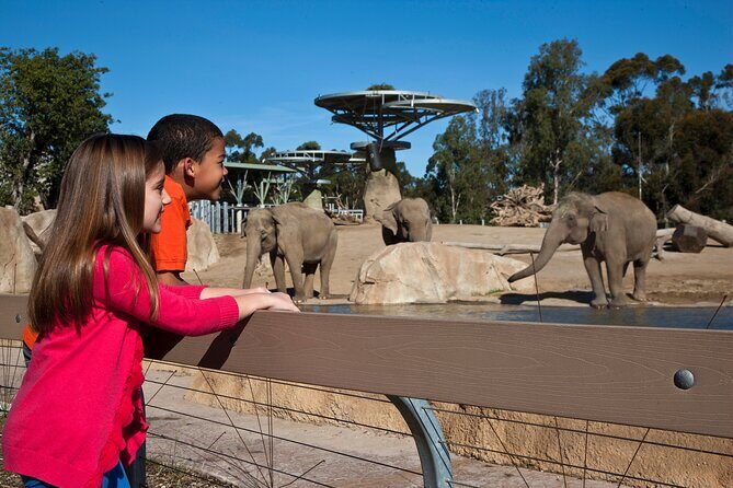 San Diego Zoo 1-Day Pass: Any Day Ticket - Use the Skyfari and bus tour early to save your legs
