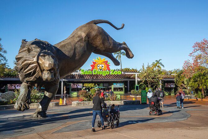 San Diego Zoo 1-Day Pass: Any Day Ticket - Giant pandas: how to cut the standby line stress