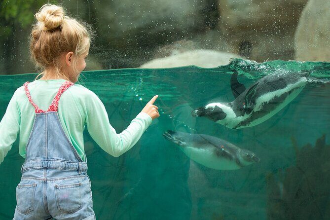 San Diego Zoo 1-Day Pass: Any Day Ticket - Kids and families: Petting Paddock, play zones, and Children’s Zoo