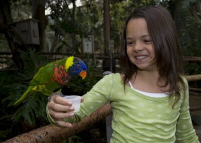 San Diego Zoo and Safari Park 2-Day Entry Ticket - How to pace your 2 days without feeling rushed